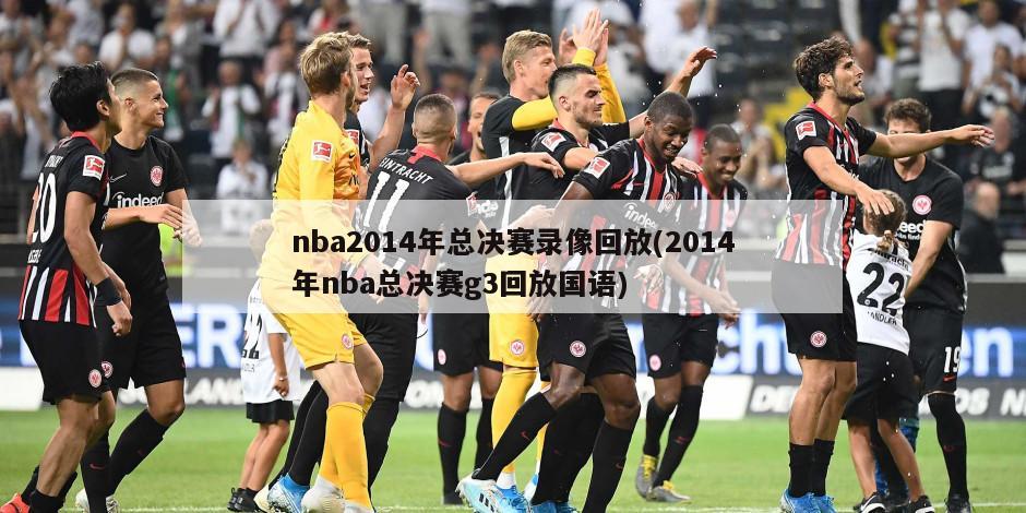 nba2014年总决赛录像回放(2014年nba总决赛g3回放国语)